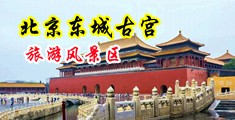 嫩屄美女被肏中国北京-东城古宫旅游风景区